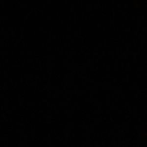 Meet your Posher, Budget